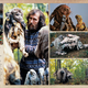 Image for article titled A Look Inside the Definitive Book on Bringing The Dark Crystal to Life